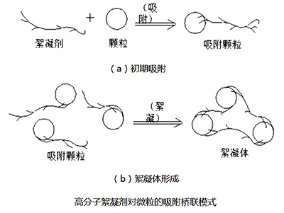 圖1高分子絮凝劑作用原理