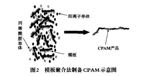 圖2模版聚合法制備CPAM示意圖